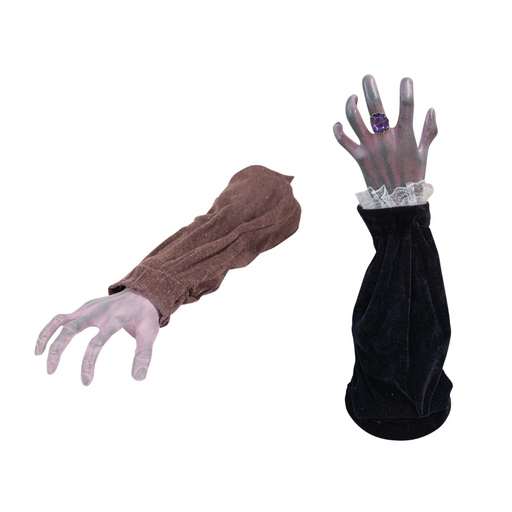 Ronis Animated Forearm And Hand 2 Asstd