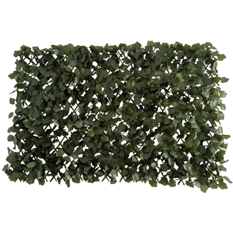 Artificial Plant Willow Trellis 100x200cm Natural 3 yrs UV