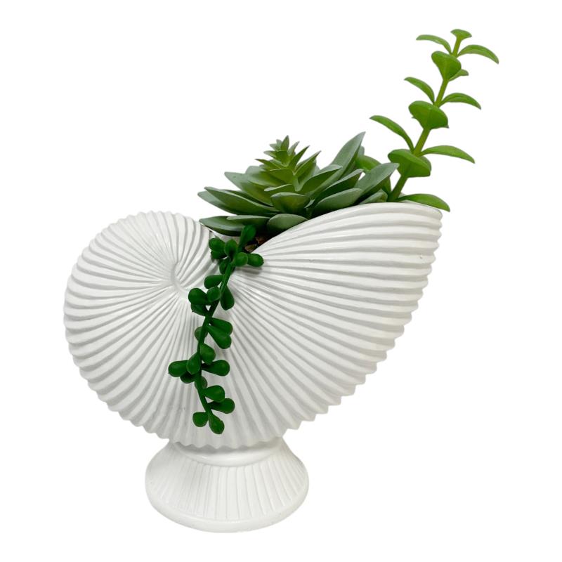 Shell decorative vase with succulent 17x15cm