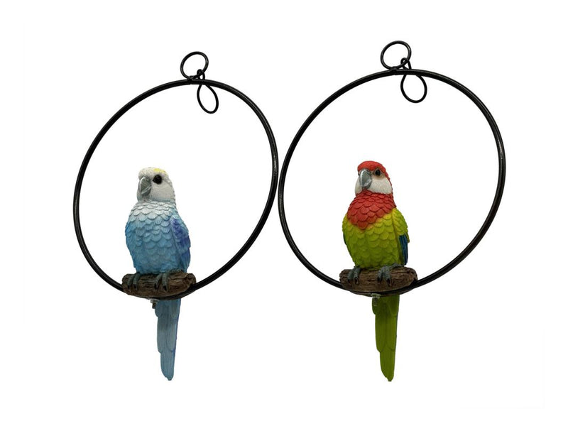 Assorted rosella bird in decorative ring 20cm