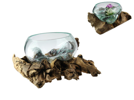 Round Glass Bowl on Driftwood 40x38cm