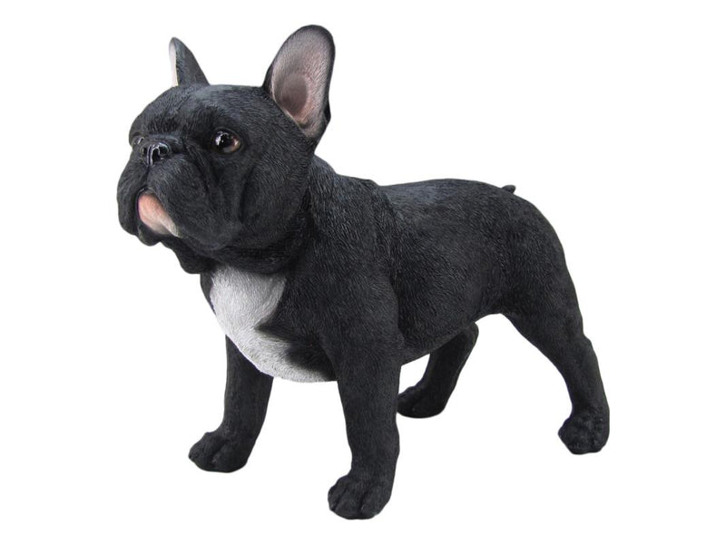 Standing Black French Bulldog 36cm