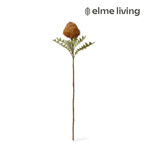 Ronis Banksia Baxteri Stem Rust 20x11x69cm