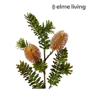 Ronis Banksia Spray Rust 20x9x66cm