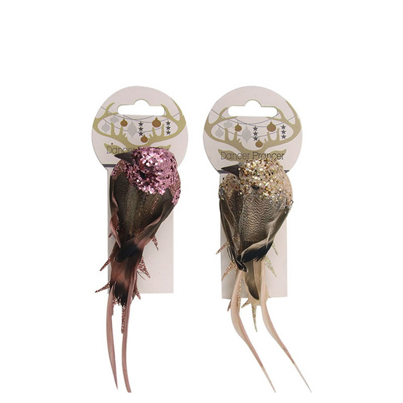 Ronis Bird with Clip 16cm Assorted