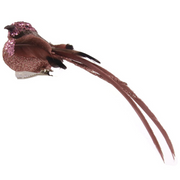 Ronis Bird with Clip 16cm Assorted