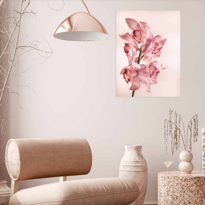 Ronis Blush Blooms Canvas 60x80cm 6 Asstd