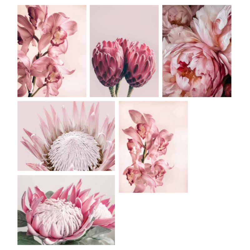 Ronis Blush Blooms Canvas 60x80cm Assorted
