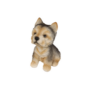 Ronis Bobble Head Dog on Grass 13cm Assorted