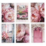 Ronis Bonjour Paris Canvas 60x80cm Assorted