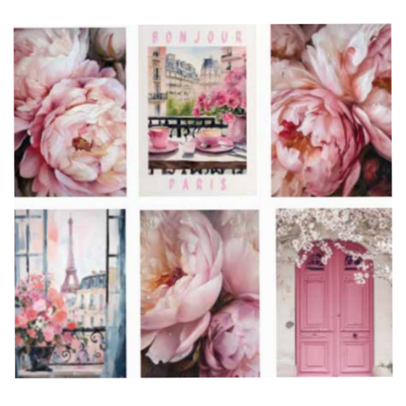 Ronis Bonjour Paris Canvas 60x80cm Assorted