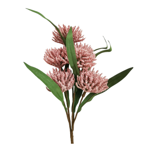 Ronis Bristle Blossom 42cm Pink