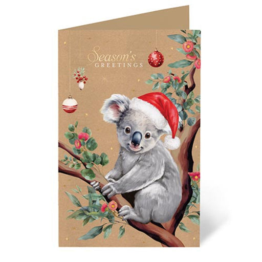 Boxed Christmas cards featuring a festive koala illustration.