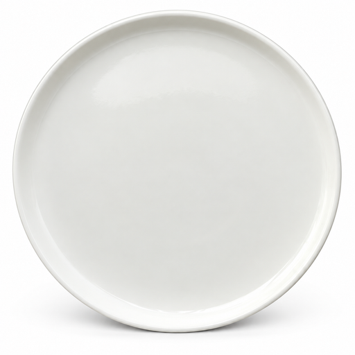beige stoneware dinner plate 10.5 inch