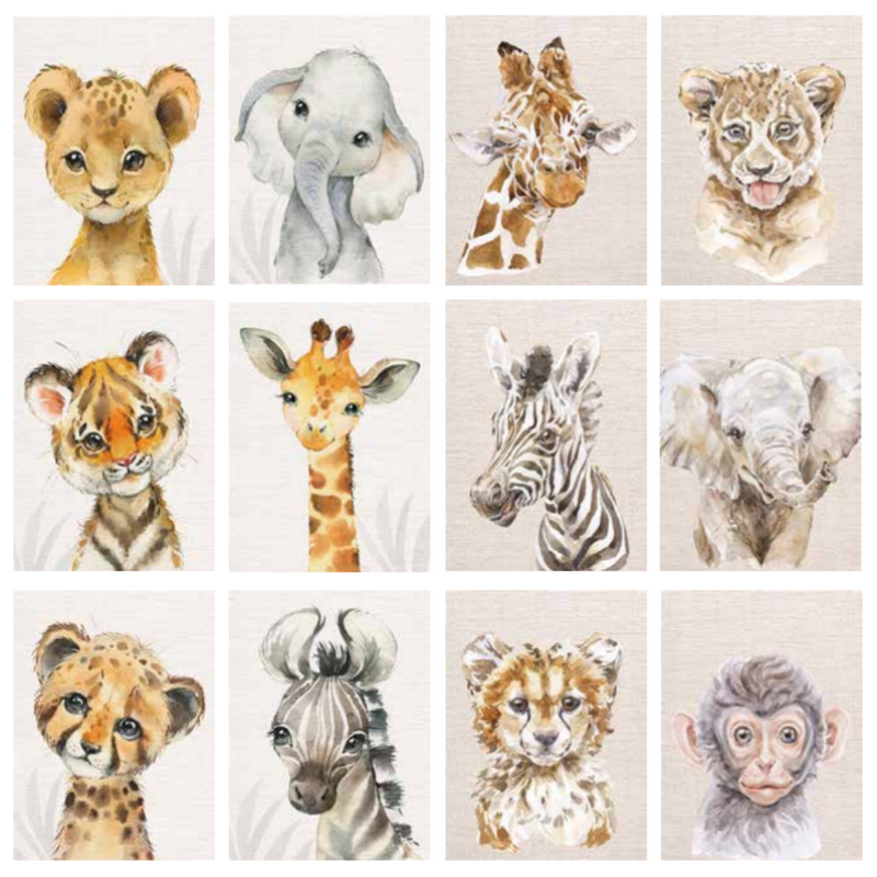 Ronis Canvas Savanna Babies 30x40cm Assorted