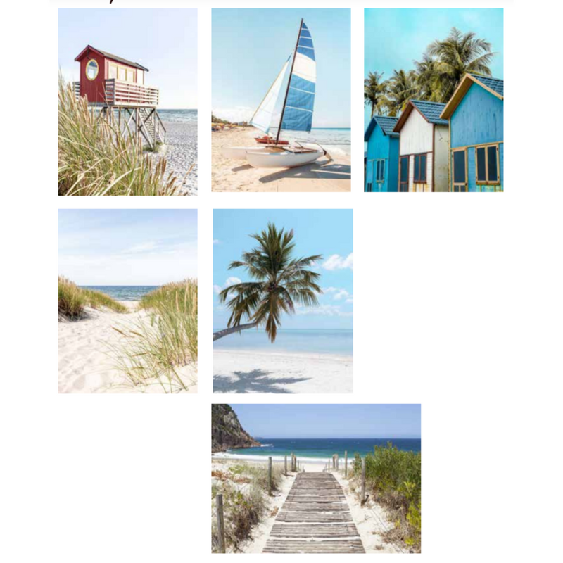 Ronis Canvas Sunny Ridge 60x80cm Assorted