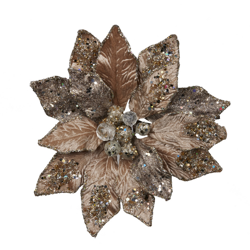 Ronis Christmas Flower 20cm Champagne Poinsettia Clip On