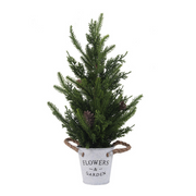 Ronis Christmas Tree In Pot 50cm