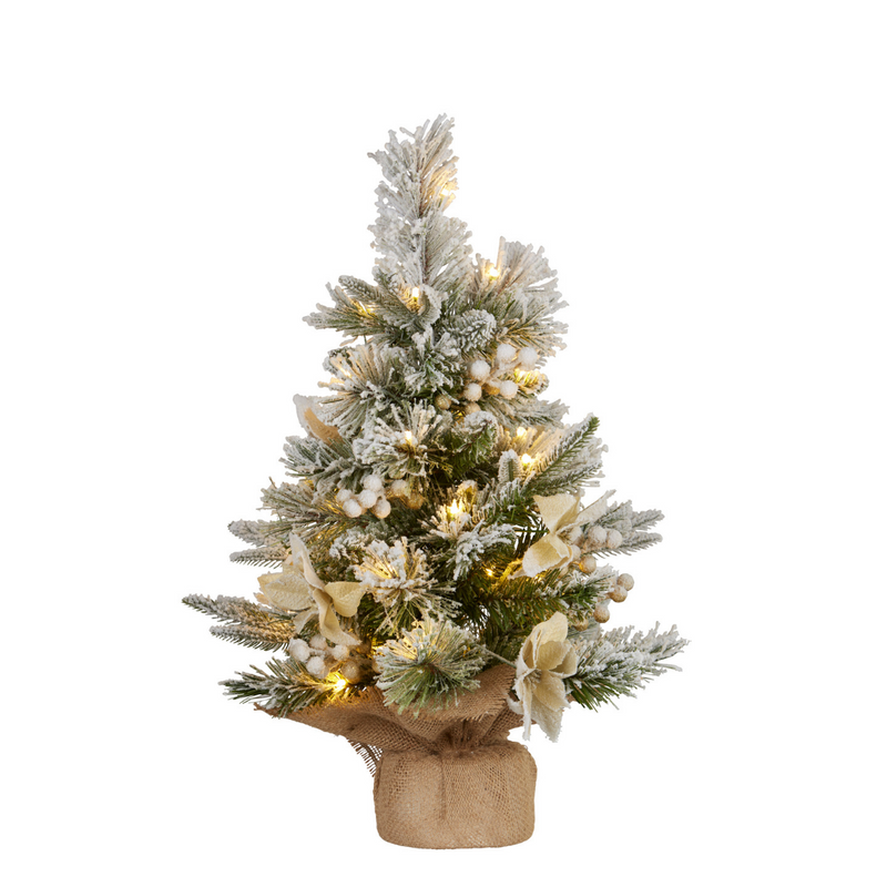 Ronis Christmas Tree with Lights- Potted Frosted Colonial 2ft