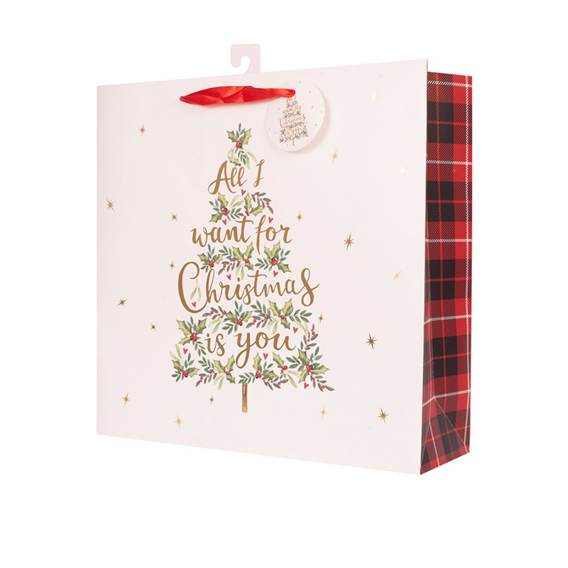 Large square Christmas gift bag with 'All I Want For Christmas Is You' text, 25x25x10cm