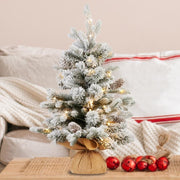 2ft Snowy Dorchester Christmas Tree with warm white LED lights, flocked snowy finish, perfect for tabletop holiday decoration.