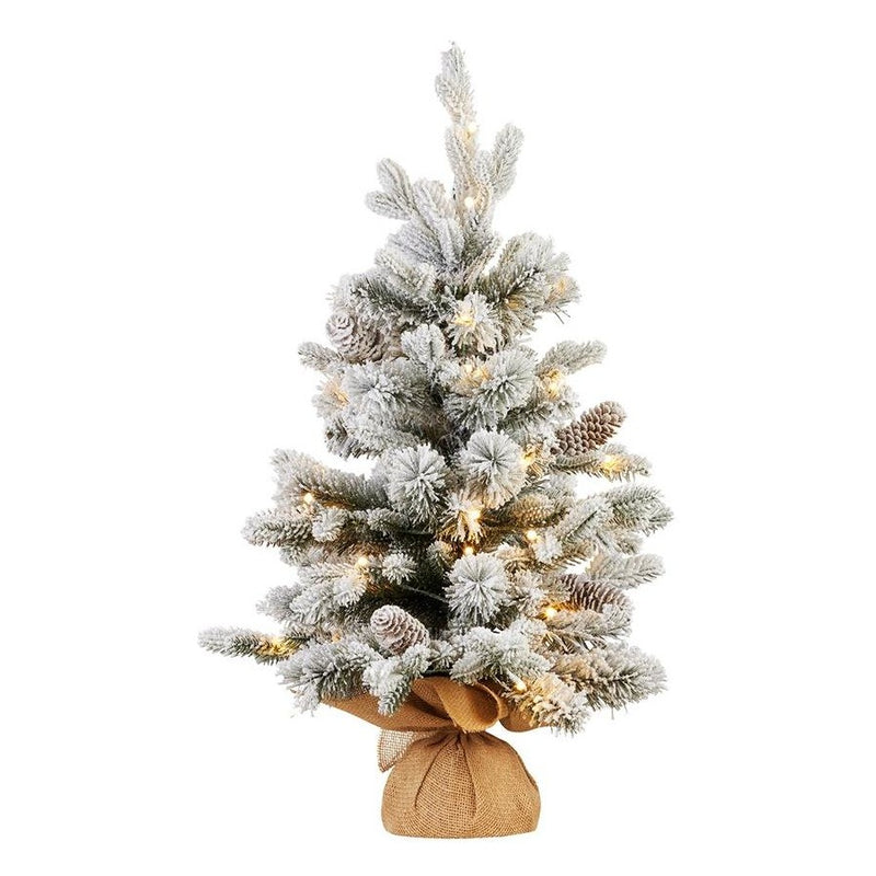 2ft Snowy Dorchester Christmas Tree with warm white LED lights, flocked snowy finish, perfect for tabletop holiday decoration.