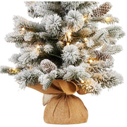 2ft Snowy Dorchester Christmas Tree with warm white LED lights, flocked snowy finish, perfect for tabletop holiday decoration.