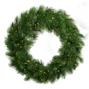 76cm pre-lit New Colorado Spruce Christmas wreath with 100 warm white LED lights