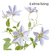 Ronis Clematis Flower Spray Purple 42x20x86cm