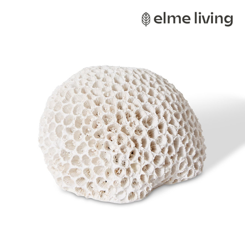 Ronis Coral Brain White 16x13x9cm