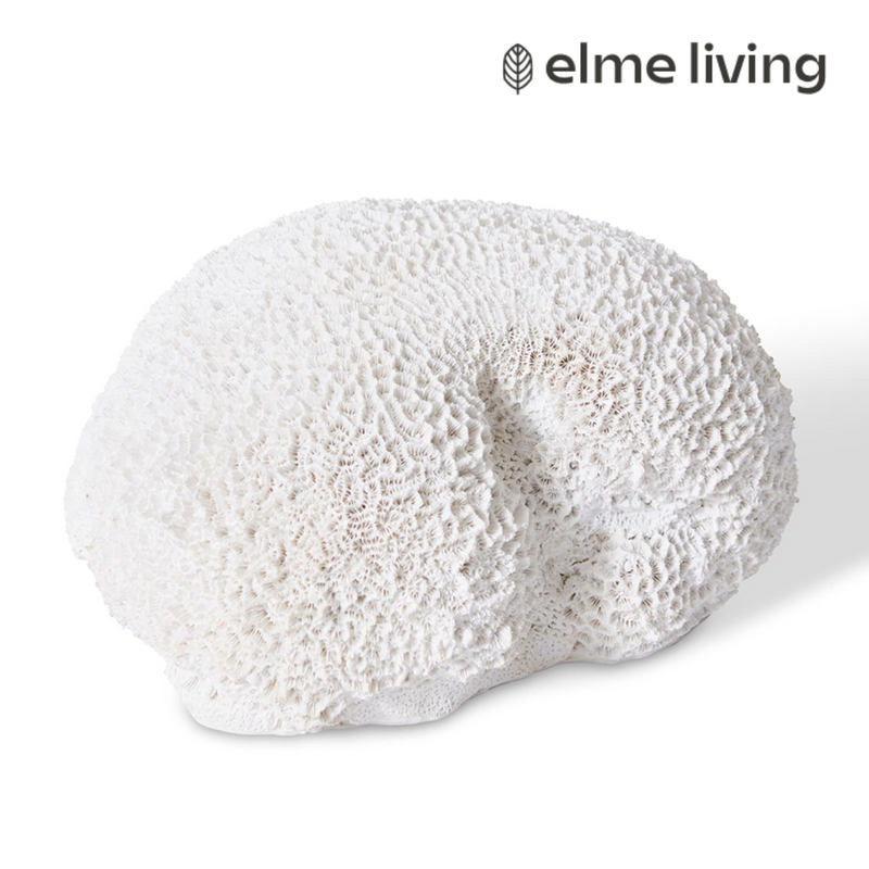Ronis Coral Brain White 23x19x11cm