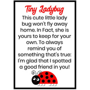 Ronis Craft Ladybugs Miniature Assorted