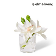 Ronis Cymbidium Orchid in Vase White 15x8x15cm