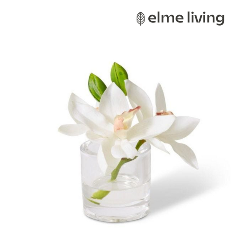 Ronis Cymbidium Orchid in Vase White 15x8x15cm