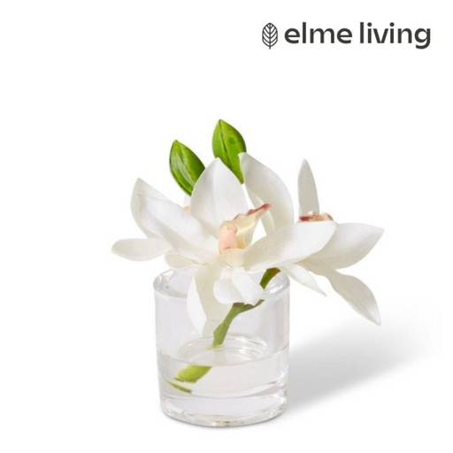 Ronis Cymbidium Orchid in Vase White 15x8x15cm