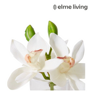 Ronis Cymbidium Orchid in Vase White 15x8x15cm