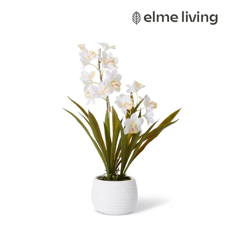 Ronis Cymbidium Hybrid Dimple Pot White/White 32x32x54cm