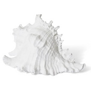 Murex Shell Sculpture White 20x16x12cm – thumbnail