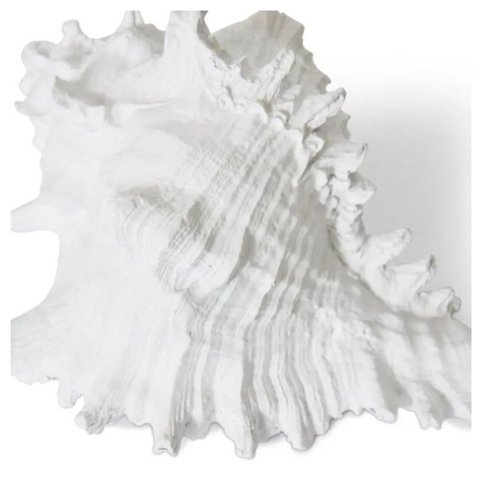 Murex Shell Sculpture White 20x16x12cm