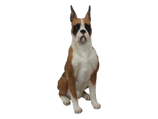 64CM SITTING BOXER DOG ON ALERT