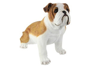 50CM SITTING BULLDOG