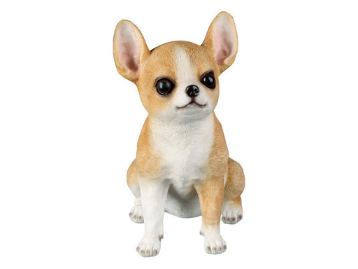 Realistic sitting Chihuahua dog statue