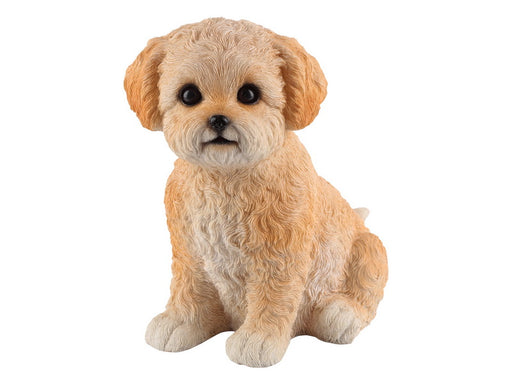 Sitting Oodle dog decorative figurine