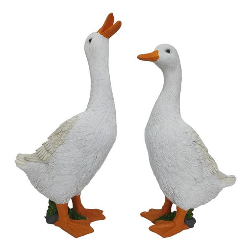 Assorted standing duck on grass ornament