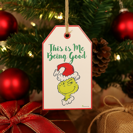 Dr. Seuss Grinch Door Hanger Sign with "Being Good for Goodness Sake" quote in red and green, holiday wall or door décor, 18.5x2.5x31.2cm.