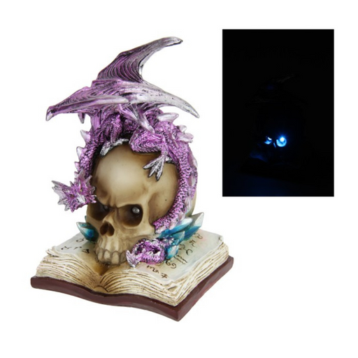 Ronis Dragon on Light Up Skull with Book 20cm