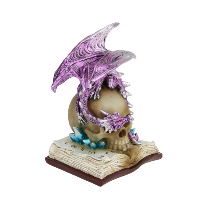 Ronis Dragon on Light Up Skull with Book 20cm