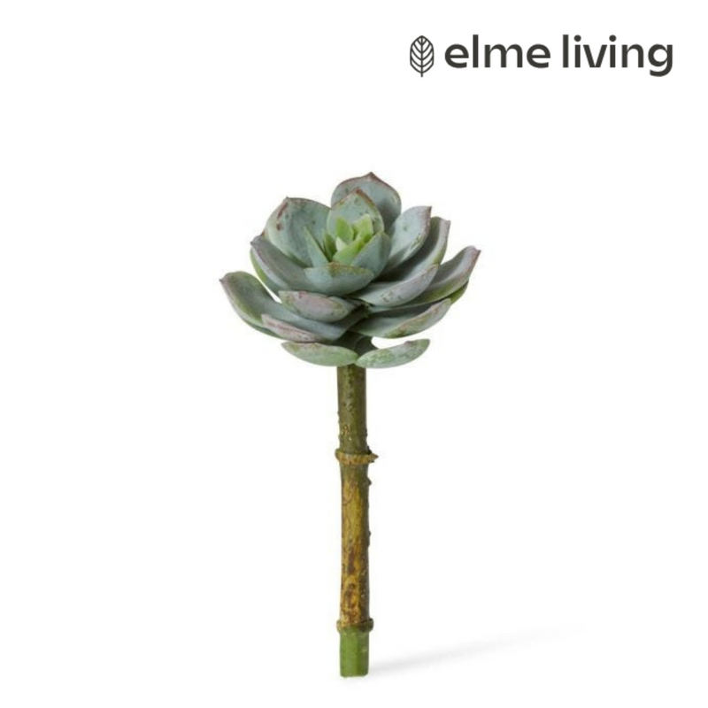 Ronis Echeveria Opalina Pick Grey Green 7x7x13cm