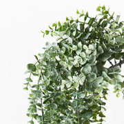 Eucalyptus Hanging Bush Grey Green 74cml – thumbnail