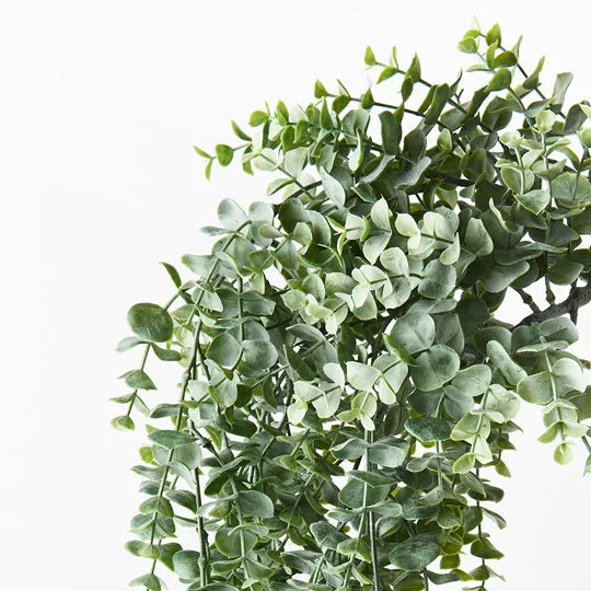 Eucalyptus Hanging Bush Grey Green 74cml